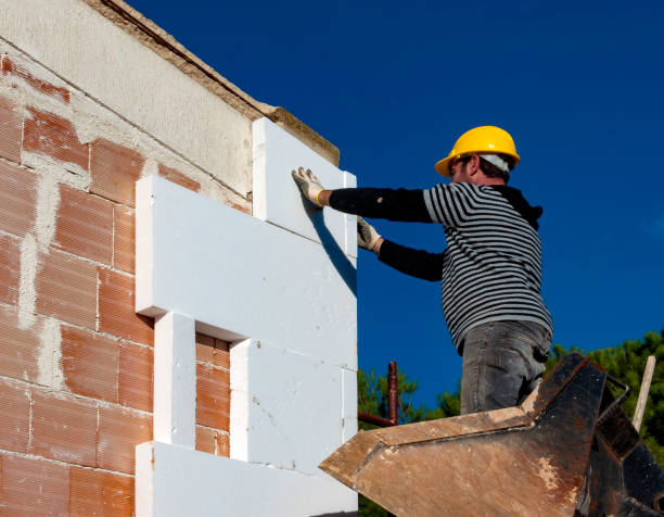 Best Insulation Maintenance and Repair in Brentwood, CA