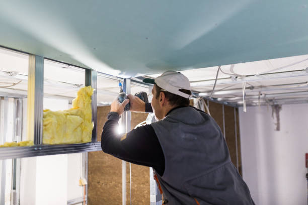Best Eco-Friendly Insulation in Brentwood, CA